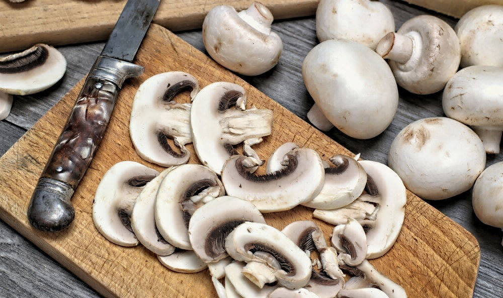 Cogumelos Serra Negra