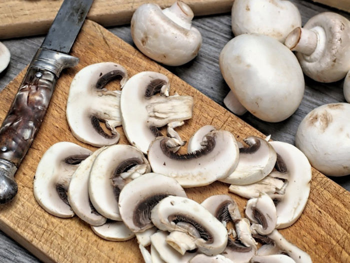 Cogumelos Serra Negra